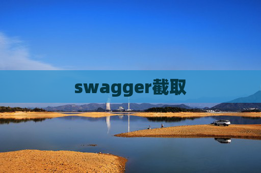 swagger截取